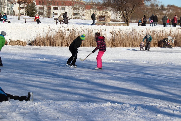 img00037.jpg